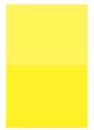 Cadmium Yellow Light  1QT