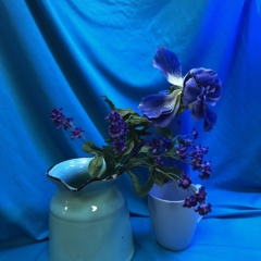 colorIntensive-002